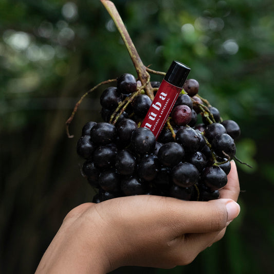 Bálsamo Labial de Corozo