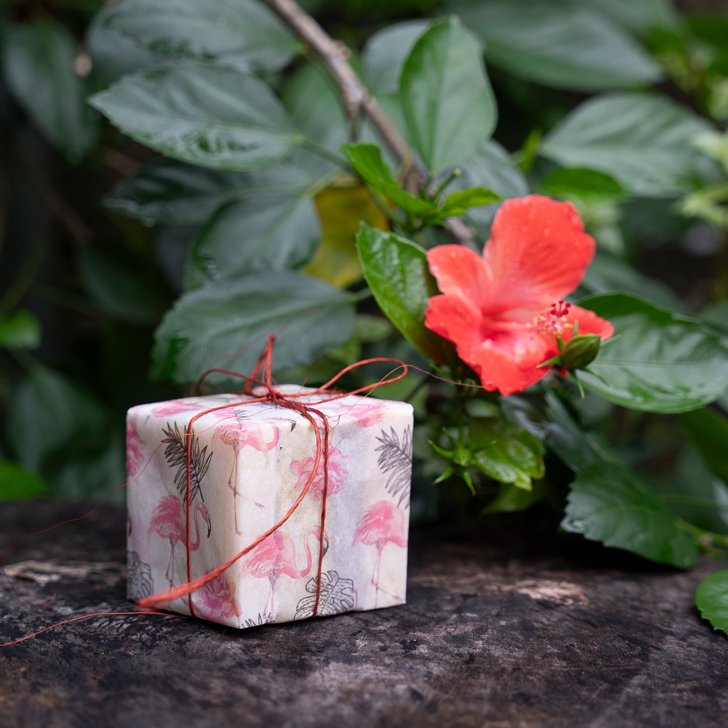 Cortes de Jabón 300 gr