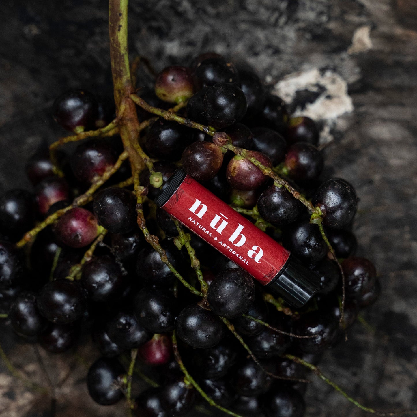 Bálsamo Labial de Corozo