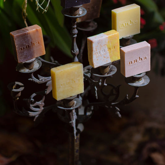 Cinco Momentos de Jabonería